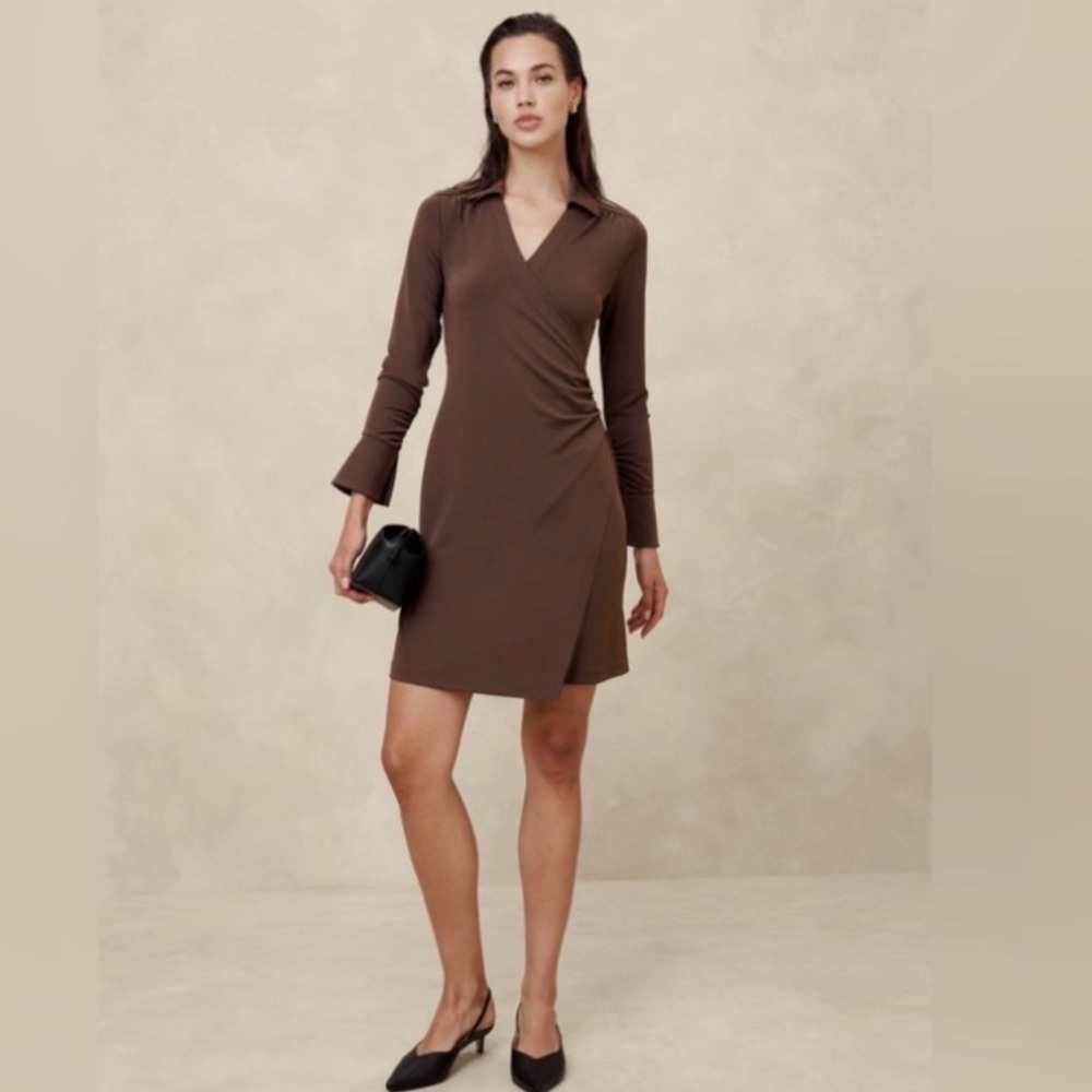 Banana Republic Chocolate Long Sleeve Dress